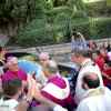 IMG-10